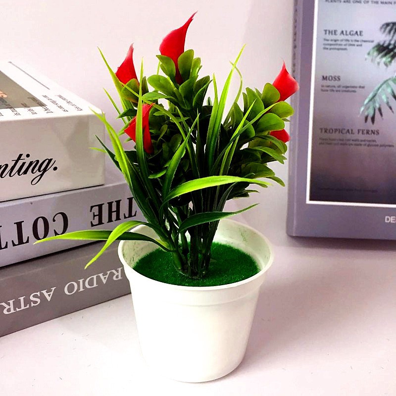 TANAMAN POT MINI BONSAI CALLA LILY RUMAH HIASAN ORNAMEN BUNGA DEKORASI