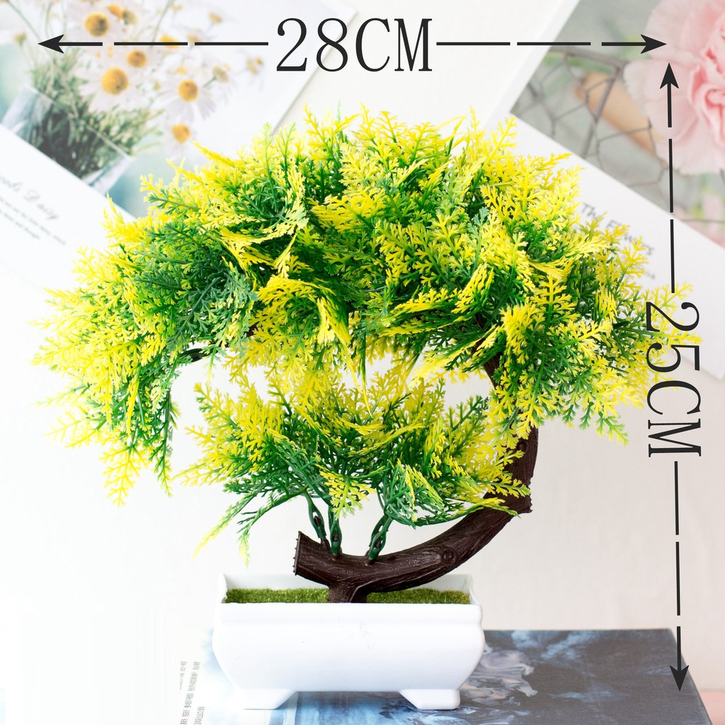 Pohon Bonsai Sabit Rumput Hiasan Dekorasi Rumah