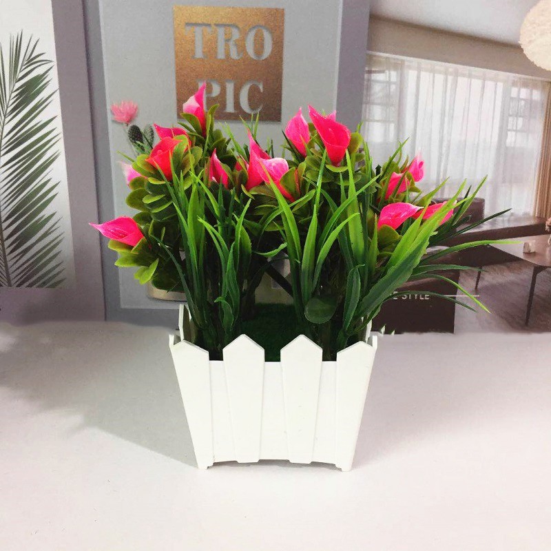 TANAMAN POT PAGAR BONSAI CALLA LILY RUMAH HIASAN ORNAMEN BUNGA DEKORASI