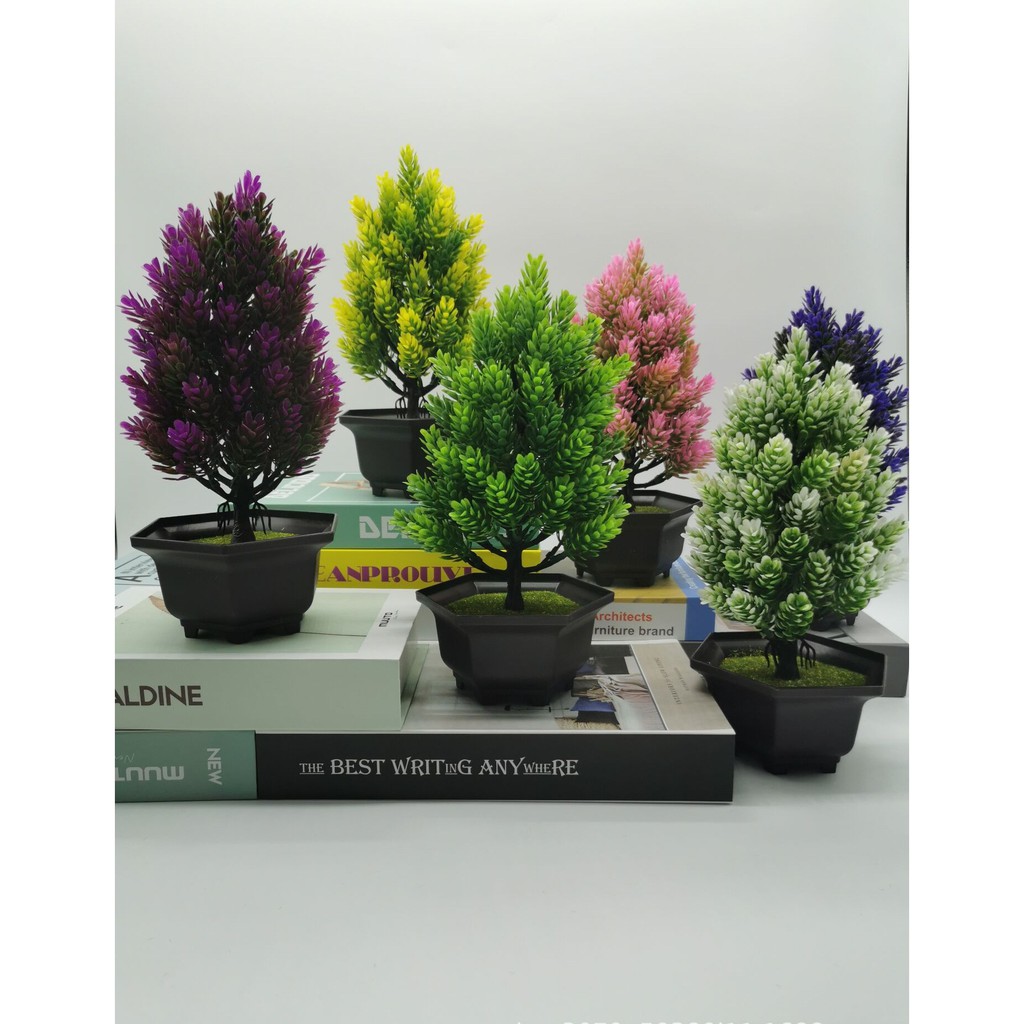 Pinus Pot Bunga Jane Pohon Simulasi Bonsai Pot Plastik