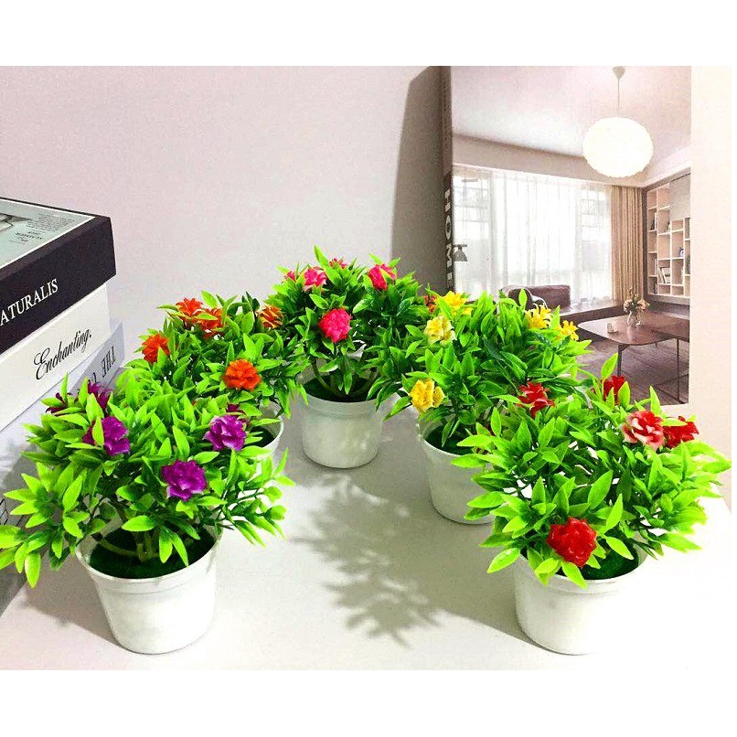 TANAMAN POT MINI BONSAI MAWAR RUMAH HIASAN ORNAMEN BUNGA DEKORASI