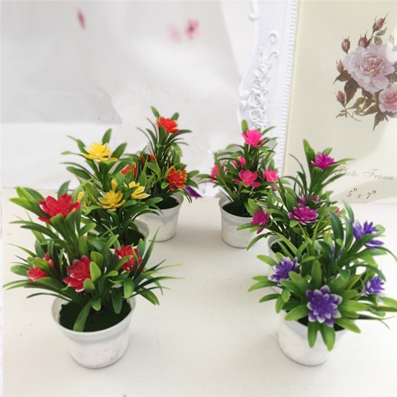 TANAMAN POT MINI BONSAI LOTUS RUMAH HIASAN ORNAMEN BUNGA DEKORASI