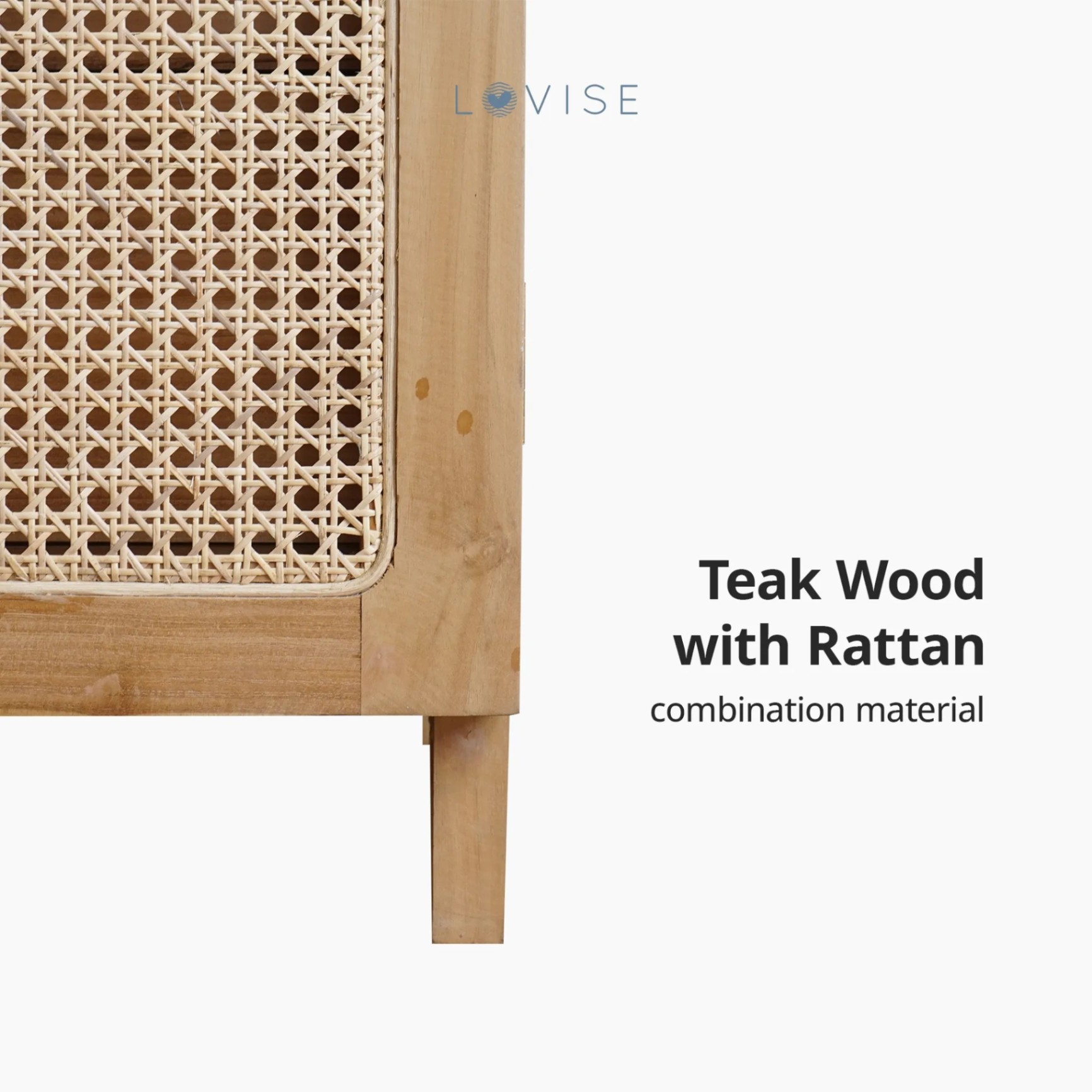 Lovise Lemari Rottan 2 Pintu