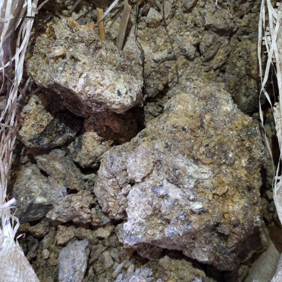 Selakar,Slakar / Kg (Bahan Polytur)