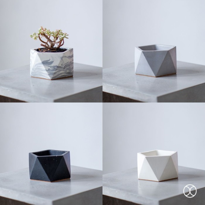 CONCREATE Pot Kaktus Harra 10 cm / Pot Tanaman / Dekorasi Meja