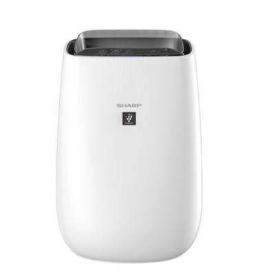 PROMO AIR PURIFIER SHARP FP-J40Y-W 30 M WITH HEPA FILTER FP J40Y W