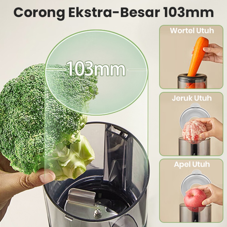 Slow Juicer (Mecoo) / Filter Free