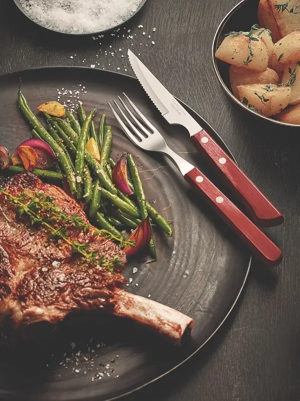 Pisau Steak 4 Inch Tramontina - Steak Knife Polywood Red