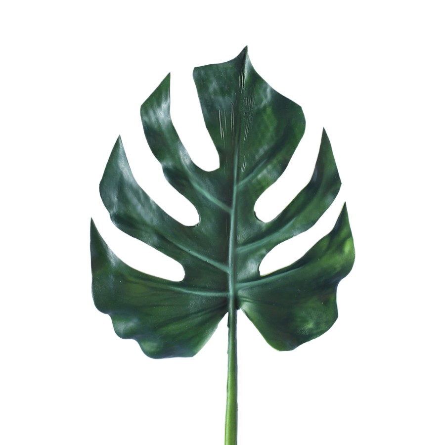 VIVERE Leaf Split Philo Green 80CM