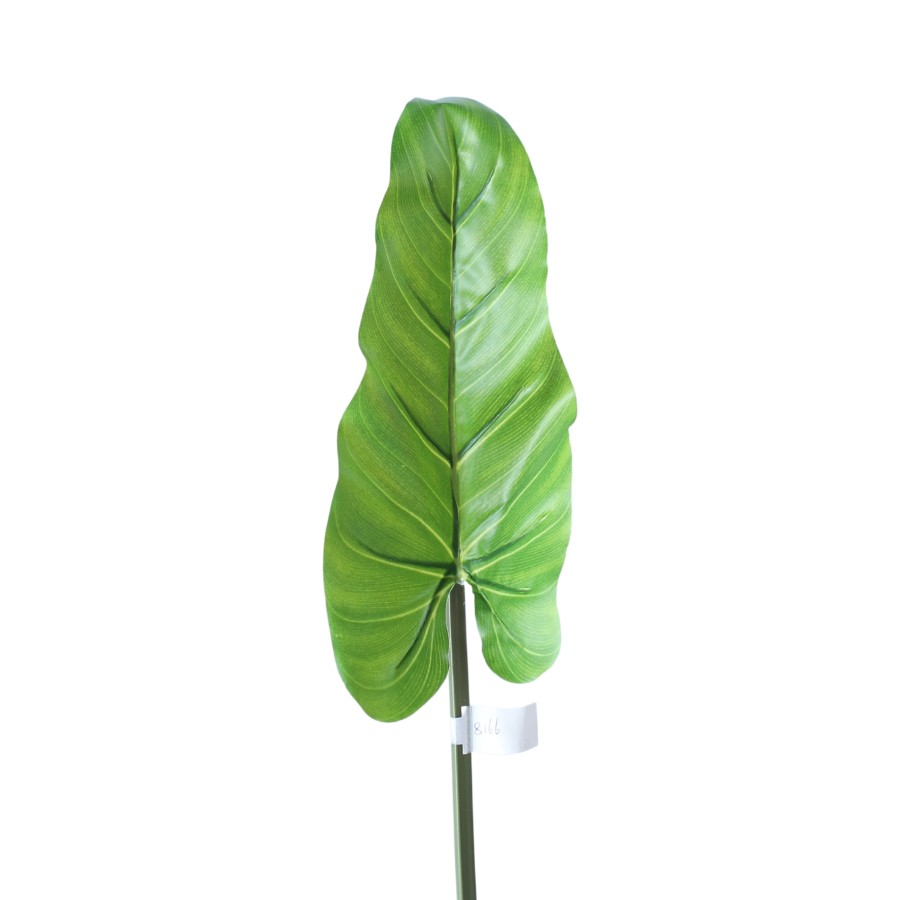 VIVERE Leaf Philodandron with Choco Skin Green 84CM