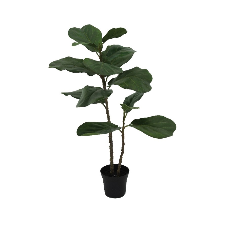 Vivere Plant Ficus Lyrata 14LVS 94CM