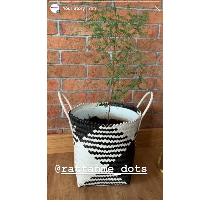 keranjang anyaman pot