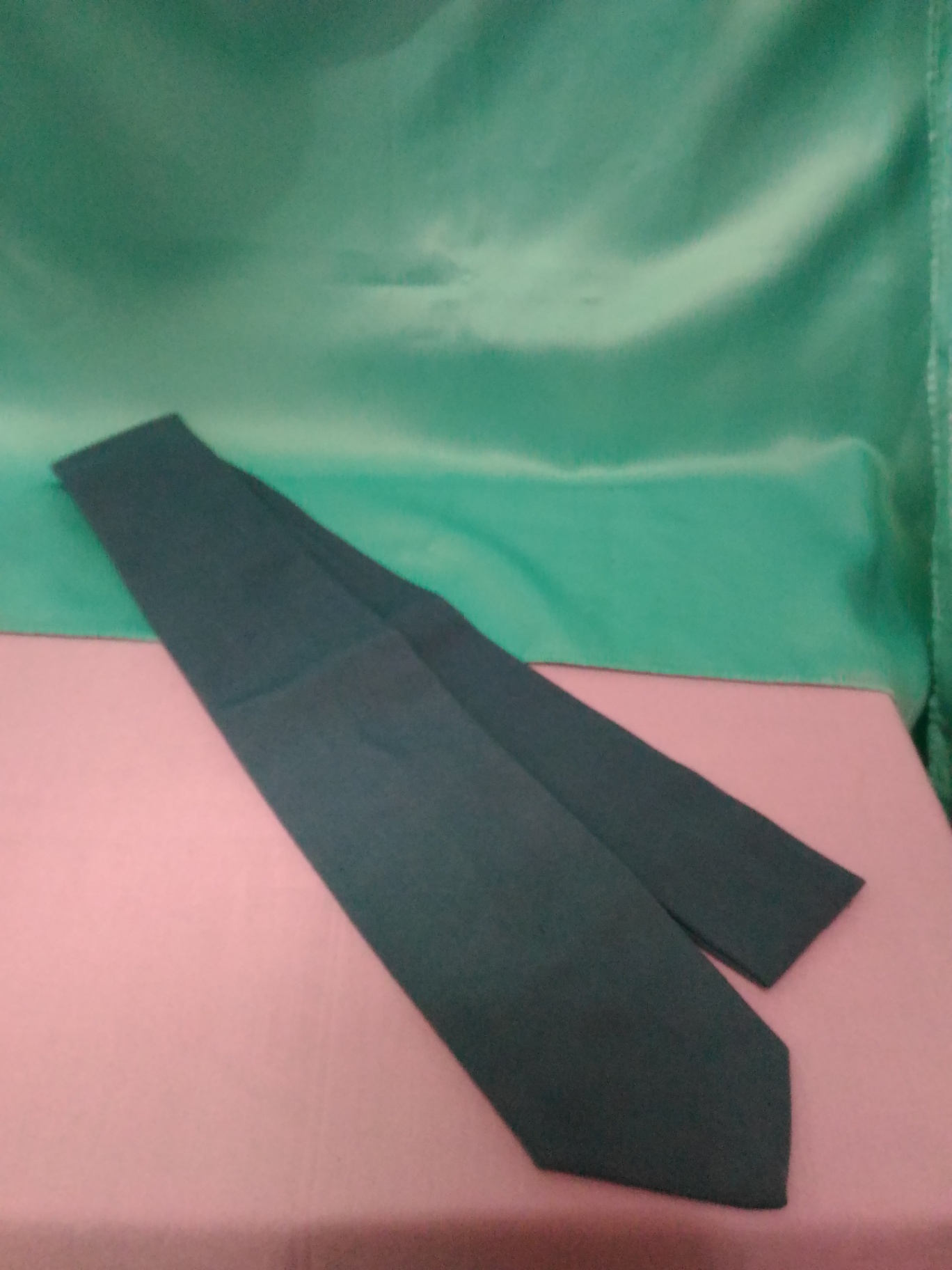 Dasi SMA Polos Panjang READY STOCK