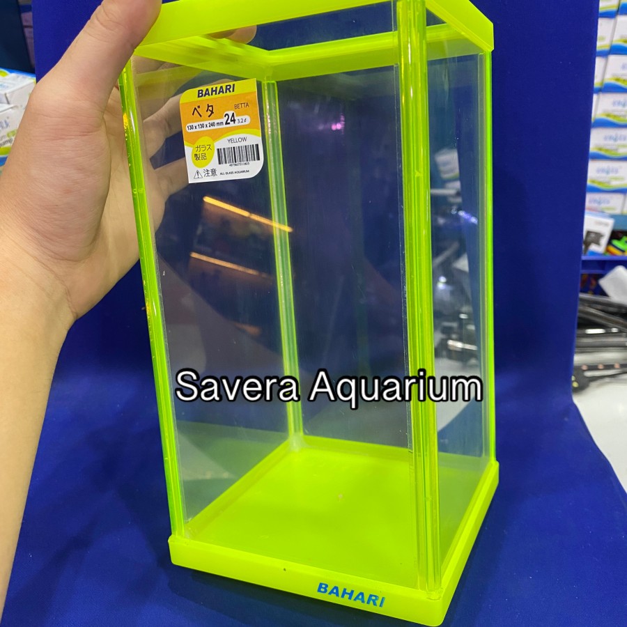 AQ BAHARI BETTA 24 / 13x13x24 CM / AQUARIUM CUPANG / VARIASI WARNA
