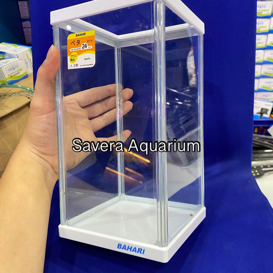 AQ BAHARI BETTA 24 / 13x13x24 CM / AQUARIUM CUPANG / VARIASI WARNA