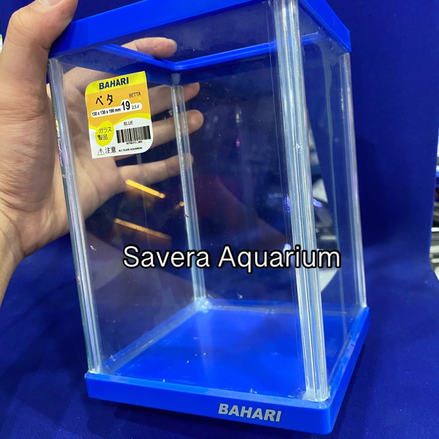 AQ BAHARI BETTA 19 / 13x13x19 CM / AQUARIUM CUPANG / VARIASI WARNA