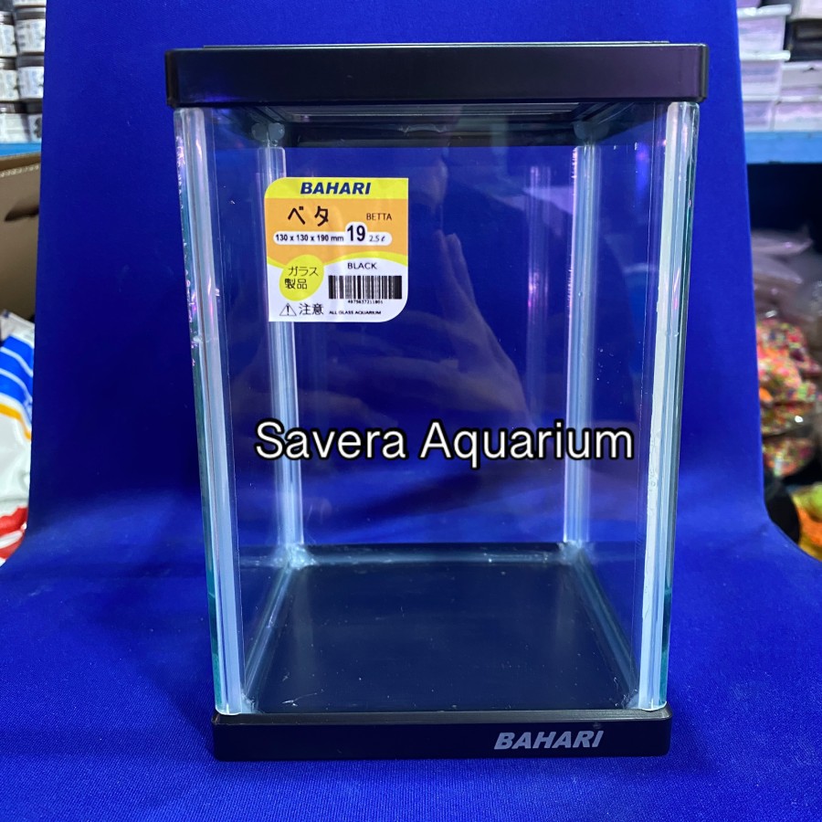 AQ BAHARI BETTA 19 / 13x13x19 CM / AQUARIUM CUPANG / VARIASI WARNA