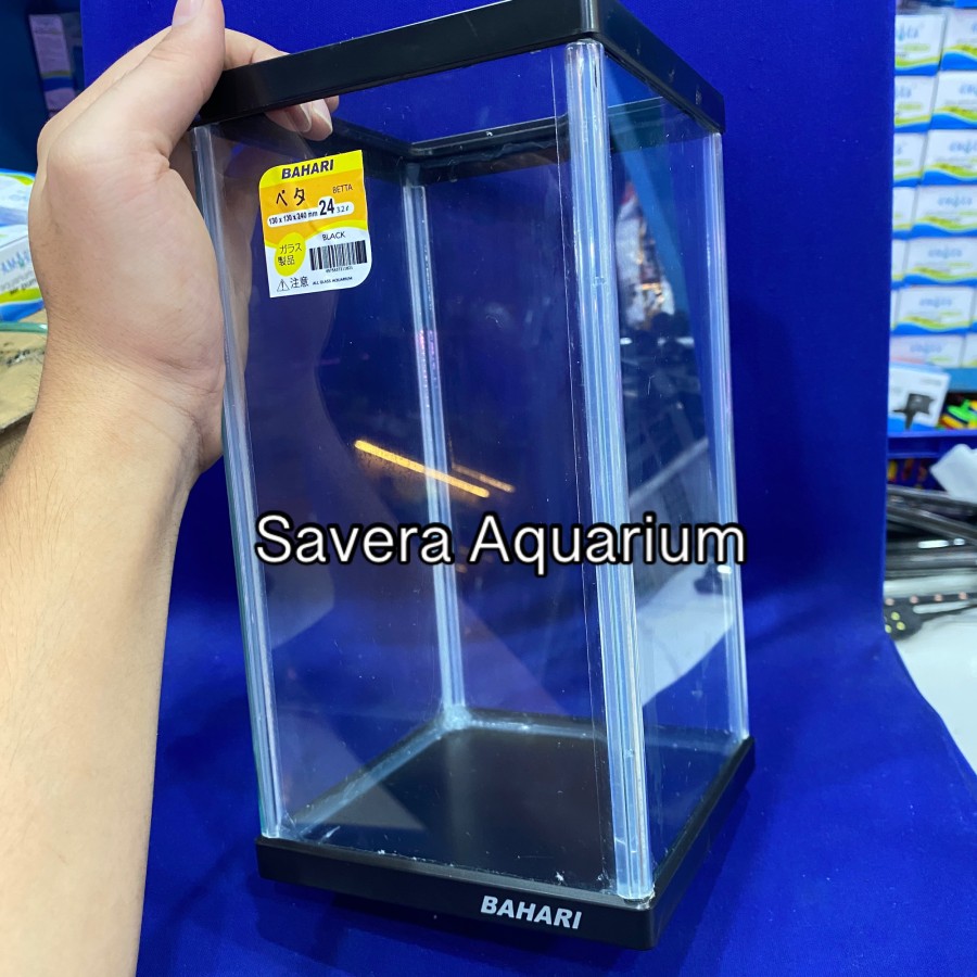 AQ BAHARI BETTA 24 / 13x13x24 CM / AQUARIUM CUPANG / VARIASI WARNA