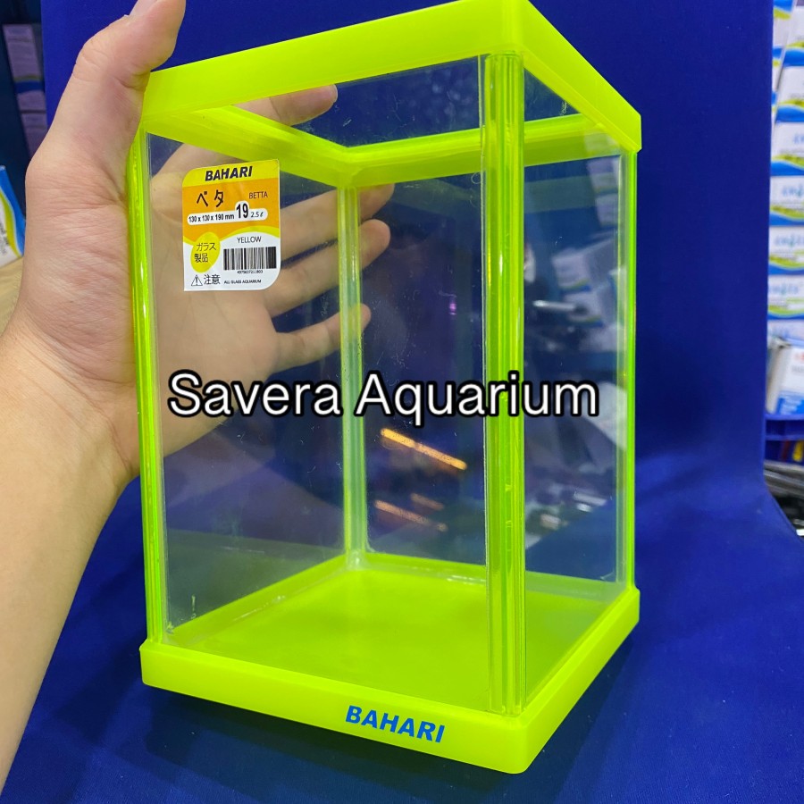 AQ BAHARI BETTA 19 / 13x13x19 CM / AQUARIUM CUPANG / VARIASI WARNA