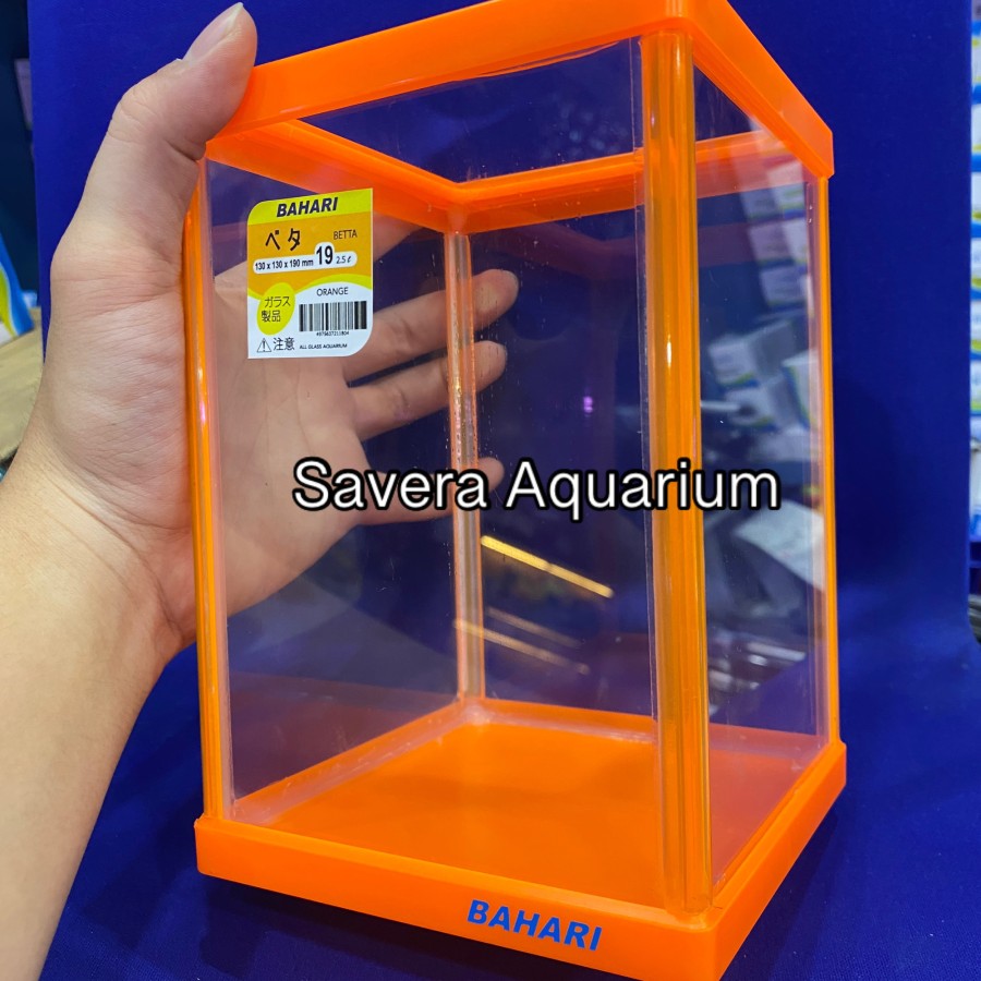 AQ BAHARI BETTA 19 / 13x13x19 CM / AQUARIUM CUPANG / VARIASI WARNA