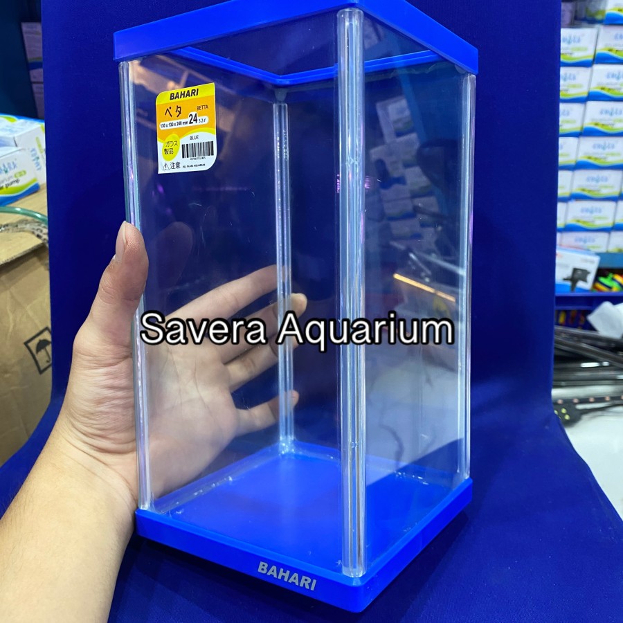 AQ BAHARI BETTA 24 / 13x13x24 CM / AQUARIUM CUPANG / VARIASI WARNA