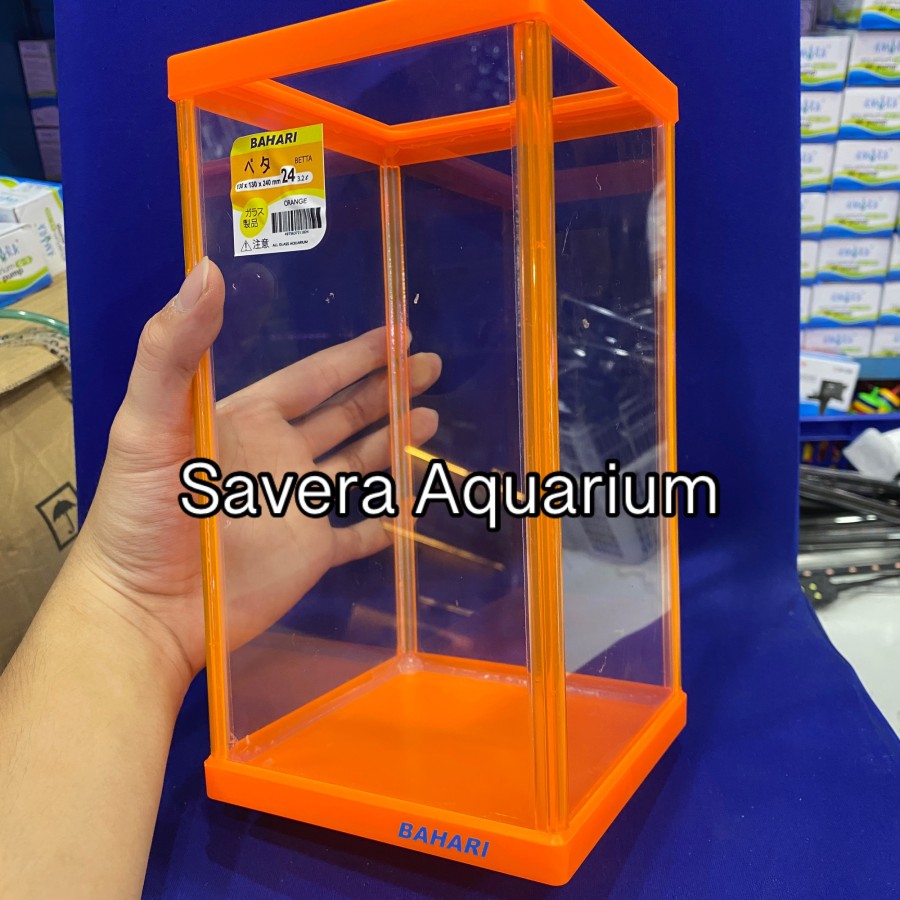 AQ BAHARI BETTA 24 / 13x13x24 CM / AQUARIUM CUPANG / VARIASI WARNA