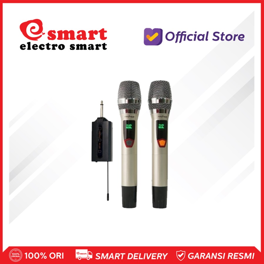 Advance MIC-203 Profesional 2 Mic Wireless Microphone