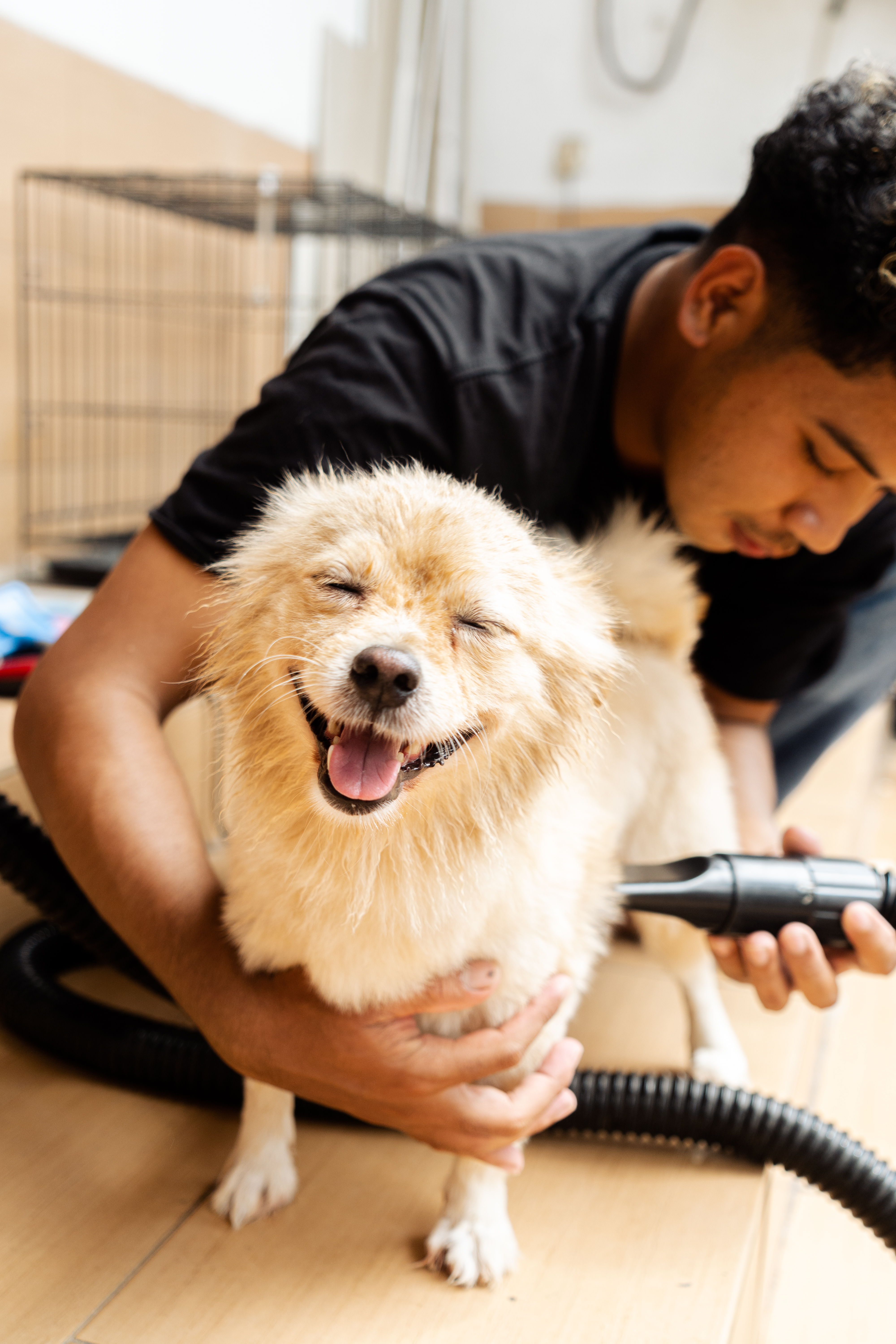 Voucher Houzcall Pet Grooming Full Treatment - Size S