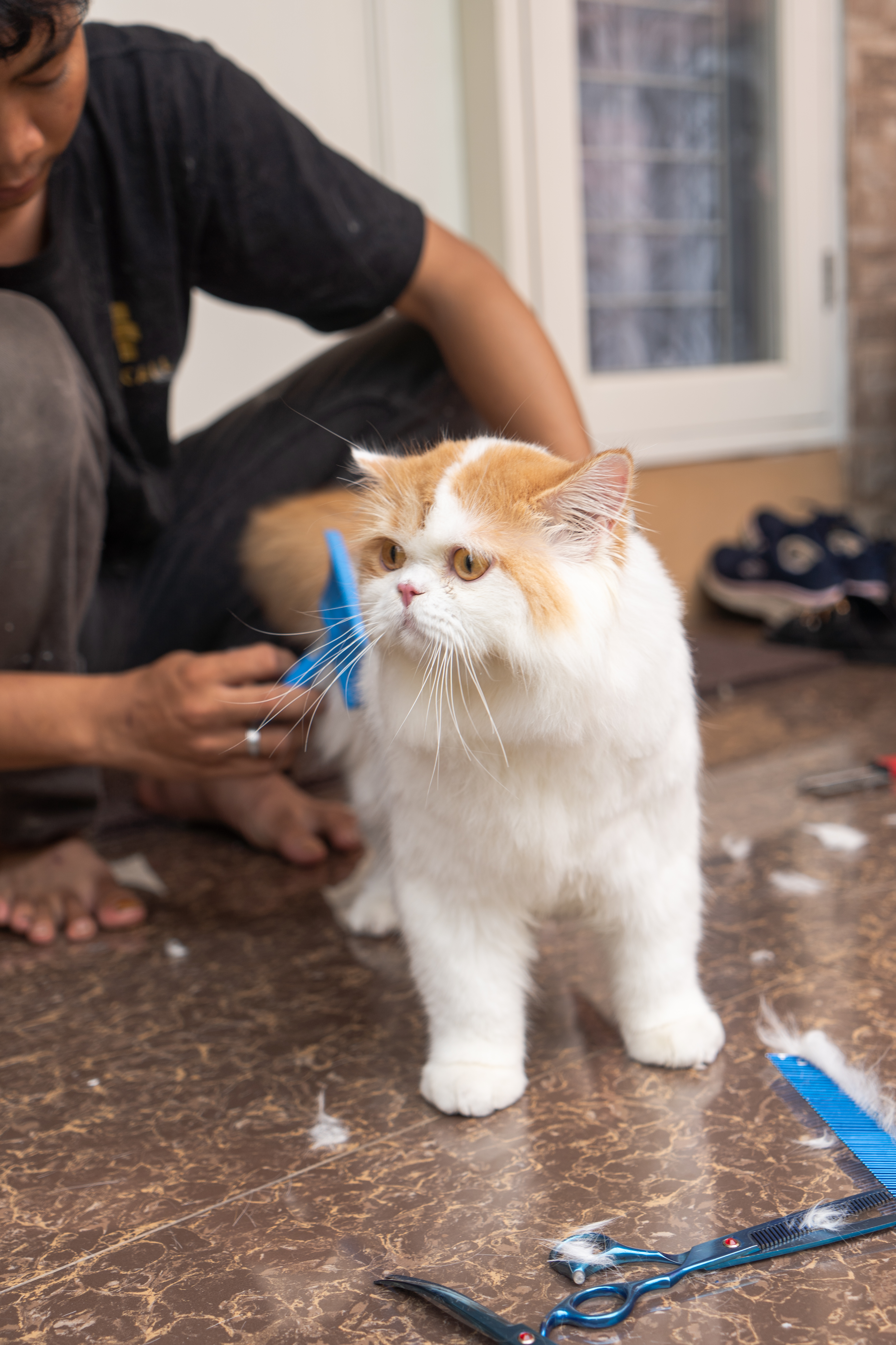 Voucher Houzcall Pet Grooming Full Treatment - Size M