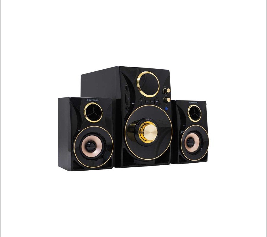 Speaker POLYTRON PMA 9310/BG