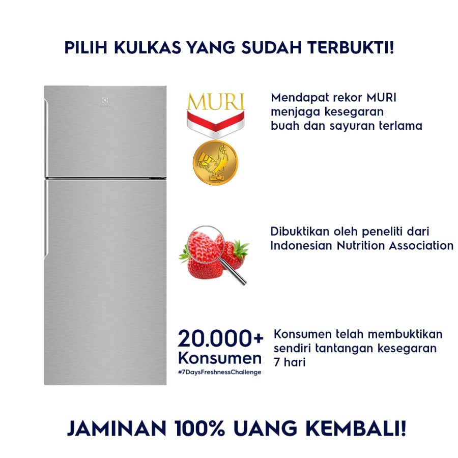 Kulkas ELECTROLUX 2 Pintu ETB4600B-A / 431 L