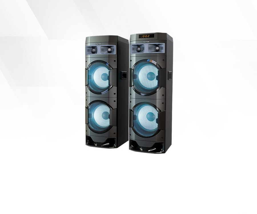 Speaker POLYTRON PAS 10DF22