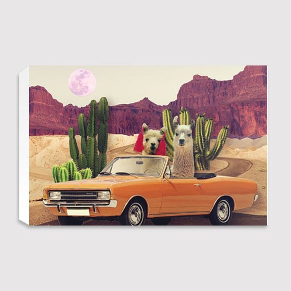 Lukisan Dinding - Canvas - Lliamas On The Road Again by Majchila
