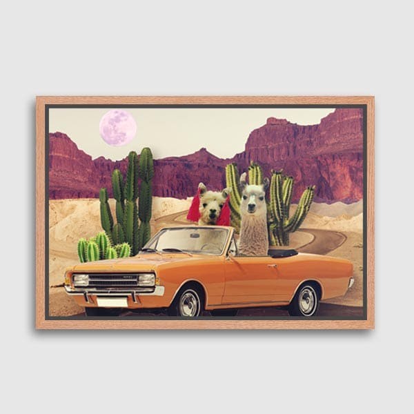 Lukisan Dinding - Canvas - Lliamas On The Road Again by Majchila