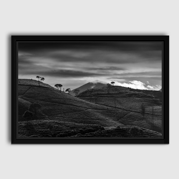 Lukisan Dinding -Twinnie -Kanvas-Frame Hitam 40x60
