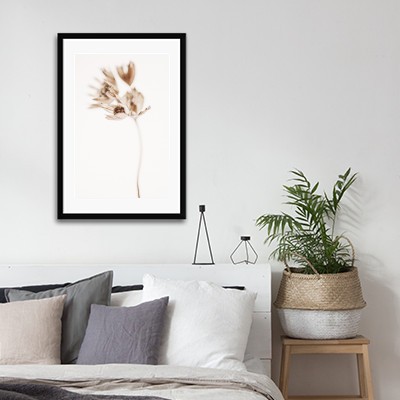 Lukisan Dinding -Delicate Plant II- Matte -Frame Hitam 30x45