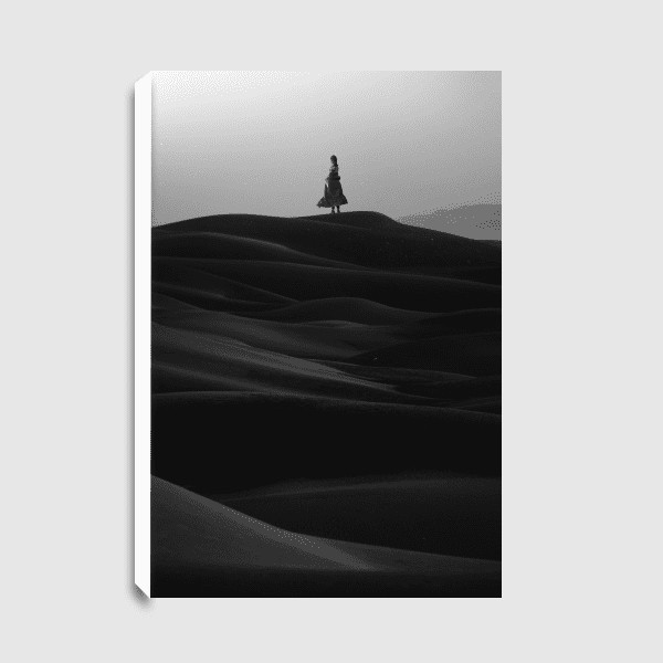 Lukisan Dinding - Canvas - Monochrome Savior by Frank Moth
