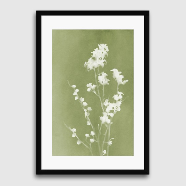 Lukisan Dinding -Monograph Green- Matte -Frame Hitam 30x45