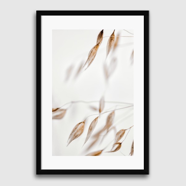 Lukisan Dinding -Dried Grass II- Matte -Frame Hitam 30x45