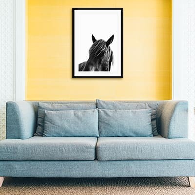 Lukisan Dinding -Black Beauty- Matte -Frame Hitam 20x30
