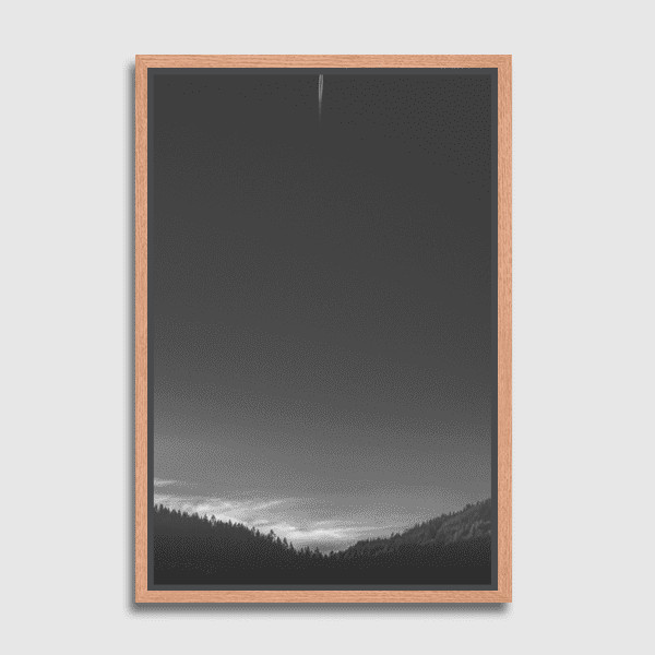 Lukisan Dinding - Canvas - Just Missed The Flight by Nur Mut