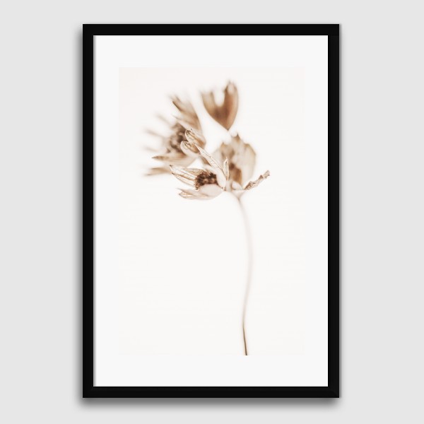 Lukisan Dinding -Delicate Plant II- Matte -Frame Hitam 30x45