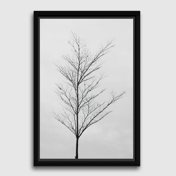Lukisan Dinding -Survive-Frame Hitam 40x60