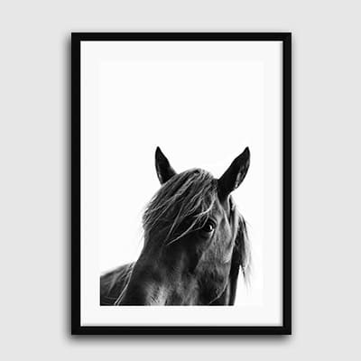 Lukisan Dinding -Black Beauty- Matte -Frame Hitam 20x30