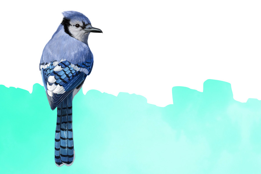 Lukisan Dinding -Bird On Blue Landscape - Matte -Frame Putih By Req