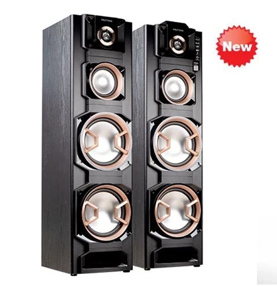 Speaker Active POLYTRON PAS-8E28