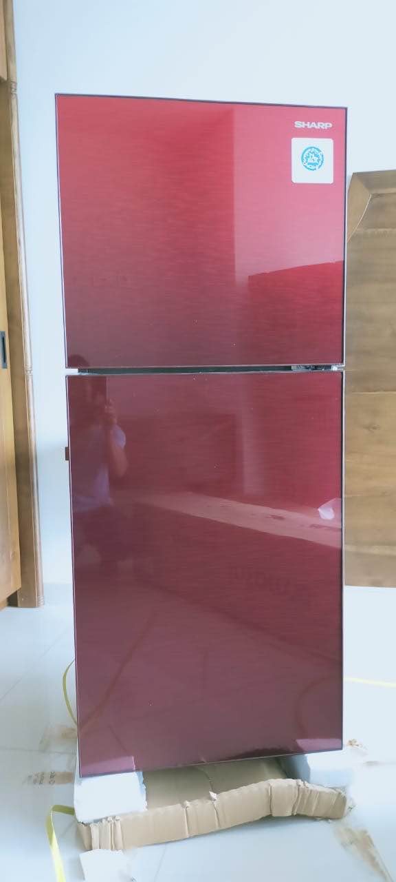 REF 2 DOOR SHARP SJ-246XG-MS