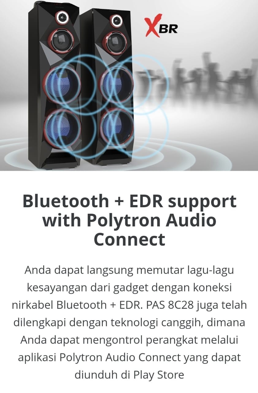 POLYTRON Active Speaker PAS 8C28 