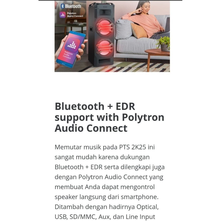 POLYTRON Portable Speaker PTS 2K25 /-FM 