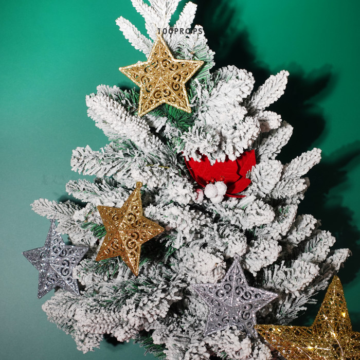 Carina Star Ornament Christmas Decoration